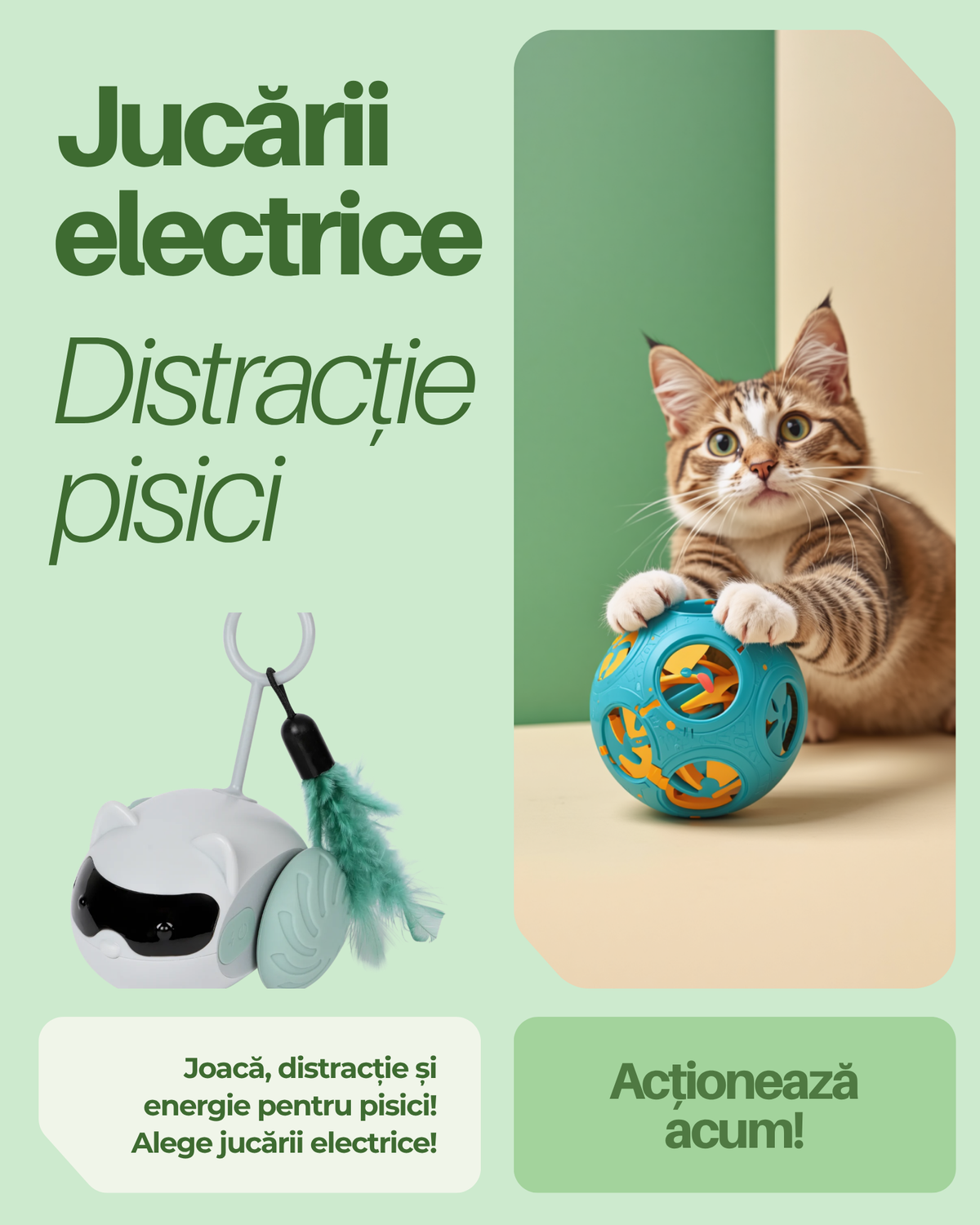 Funcții și detalii jucărie pisici