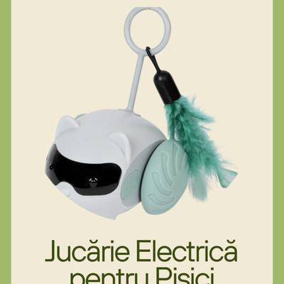 Jucărie electrică interactivă pentru pisici cu telecomandă și pene, reîncărcabilă USB-C