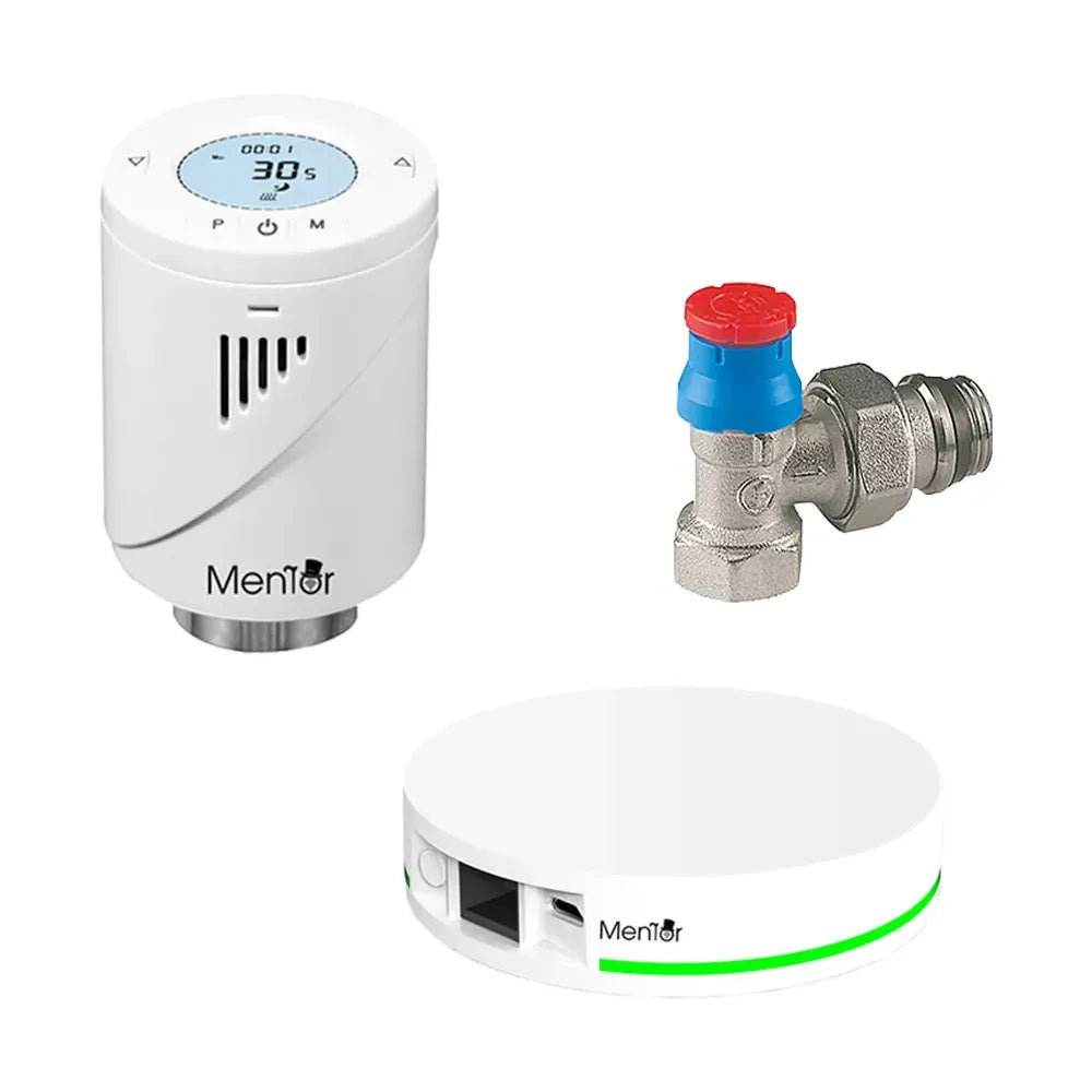 Kit termoficare smart ZigBee cu robinet Giacomini si hub 1 calorifer TZB111G