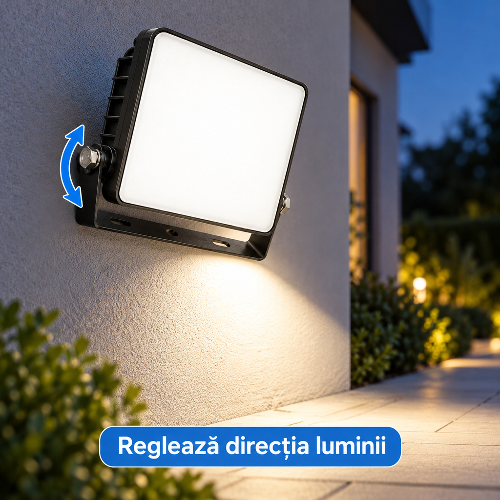 Orientarea ajustabilă a proiectorului cu suport metalic