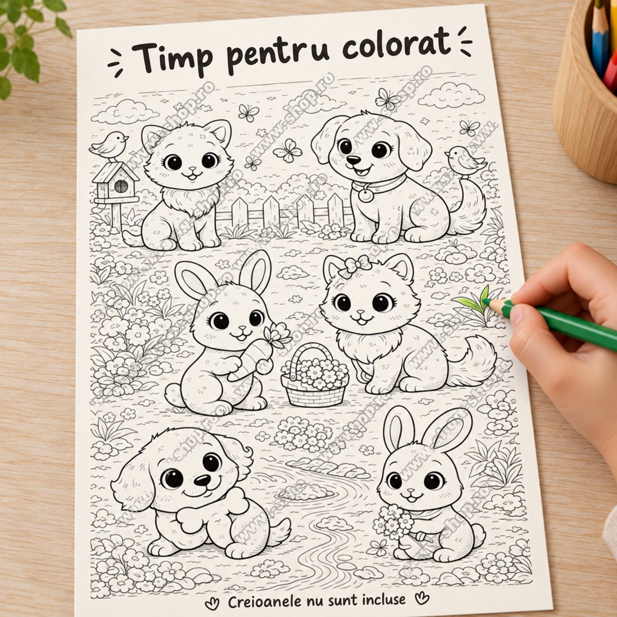 Exemplu de activitate de colorat, creioanele nu sunt incluse
