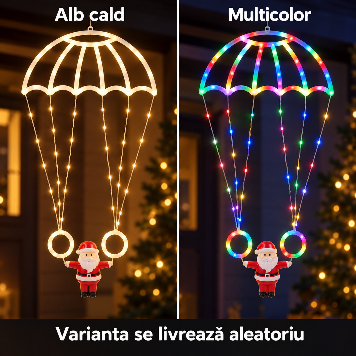 Alb cald sau multicolor, varianta se livrează aleatoriu